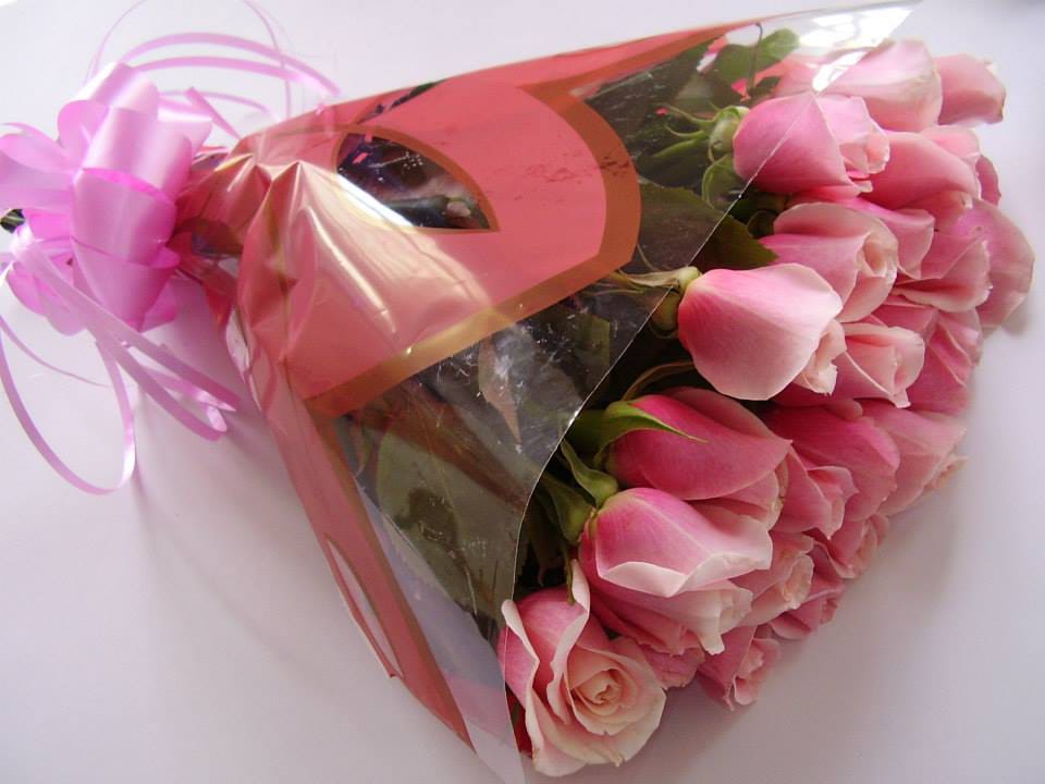 Imagen serenata sencilla